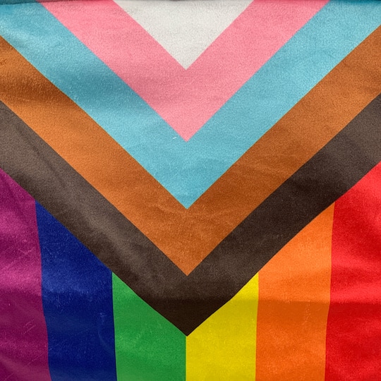 Progress Pride Banner by Celebrate It™